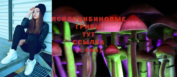 наркотики Инсар