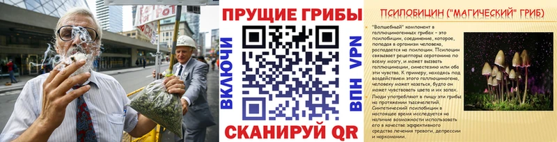 Псилоцибиновые грибы Psilocybe  Купить где  Белоозёрский 